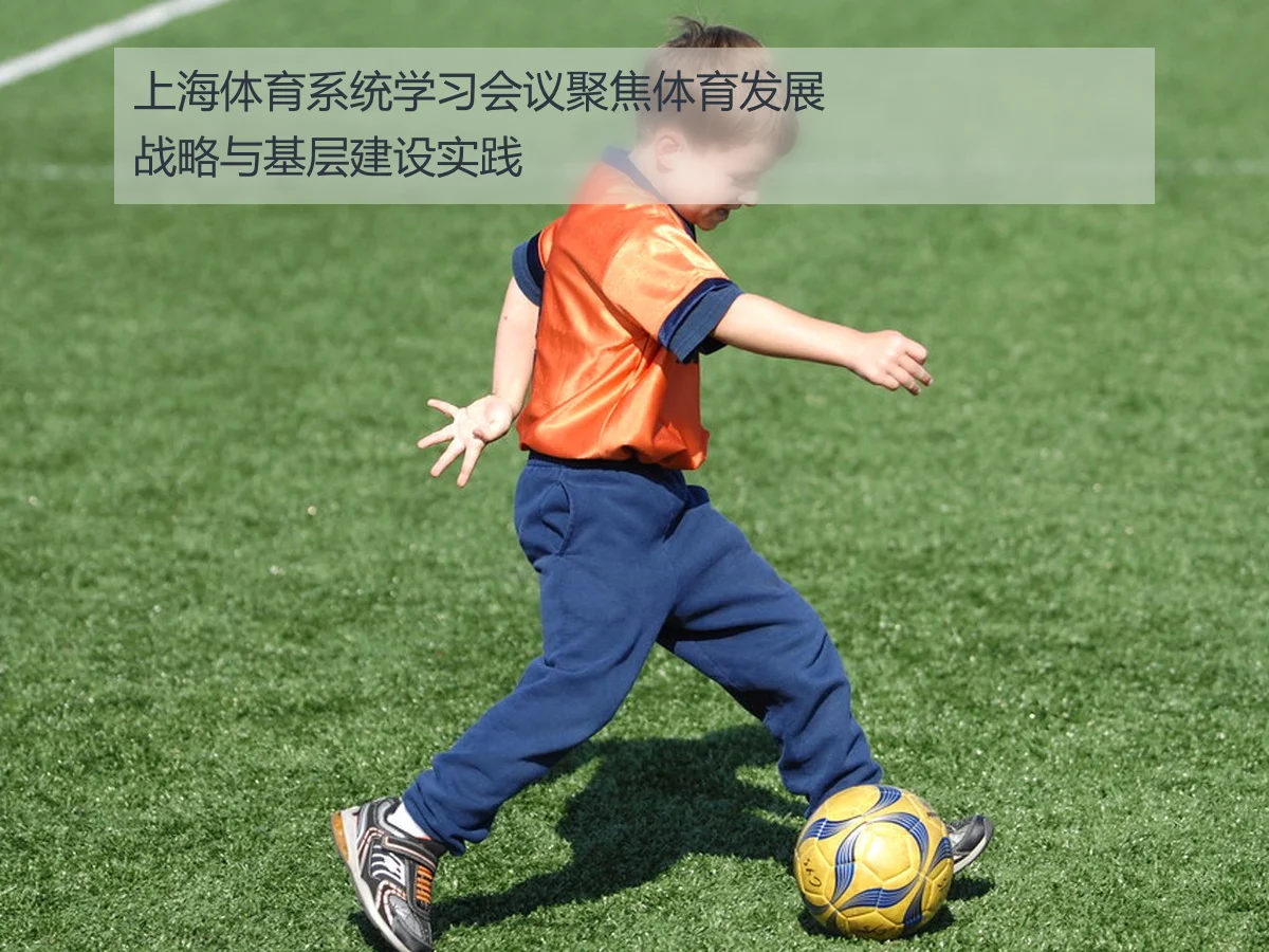上海体育系统学习会议聚焦体育发展战略与基层建设实践